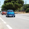 Montevago 2010 (446)